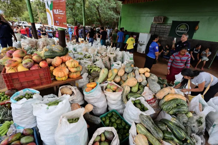 Primeiro recebimento de produtos da agricultura familiar através do 1º PAA Indígena Municipal do Brasil acontece na próxima terça-feira. Foto: A. Frota