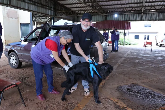 Animais podem receber a dose a partir dos três meses e devem estar em boas condições de saúde- Foto: A. Frota/ Arquivo