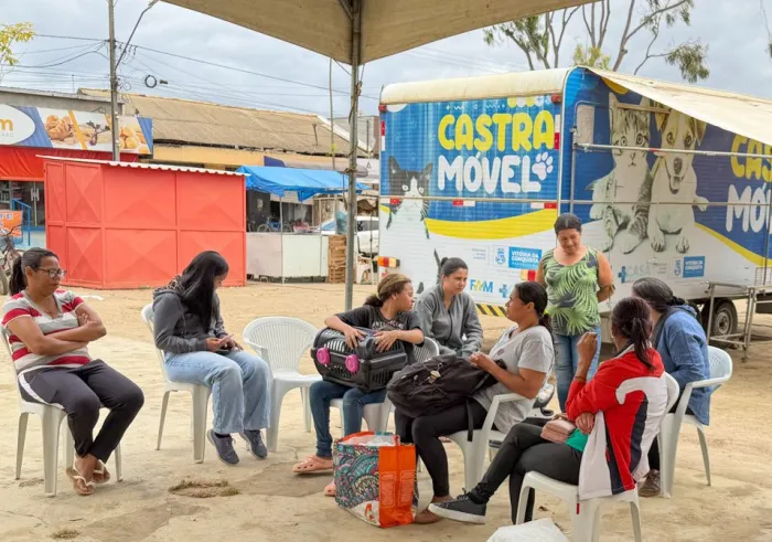 Castramóvel leva cuidado e prevenção para cães e gatos do distrito de José Gonçalves