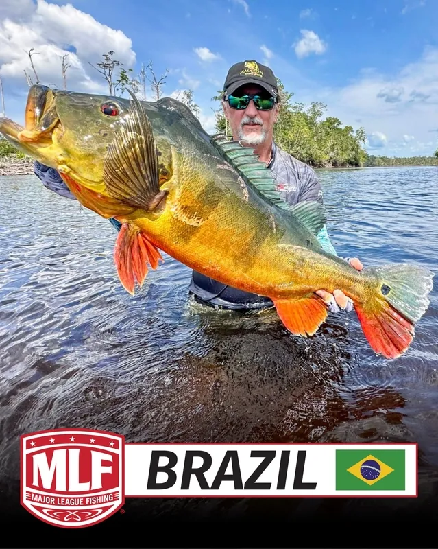MLF anuncia entrada no Brasil em 2027