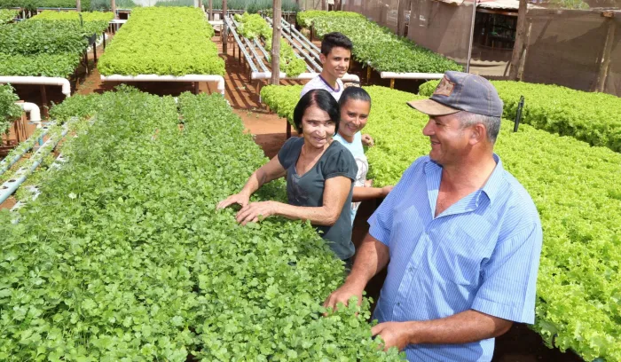 Foto: Reprodução/Prefeitura de Campo Grande - MS