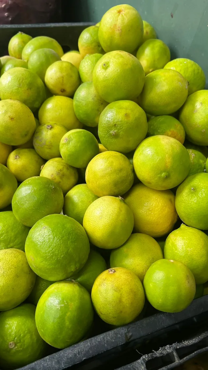 Ceaca registra redução no preço de 11 produtos e aumento em seis