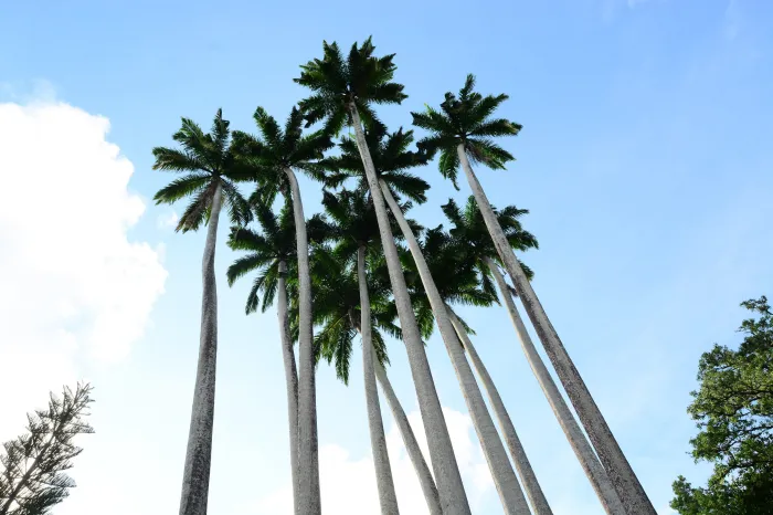 Foto: Reprodução/Prefeitura de João Pessoa - PB
