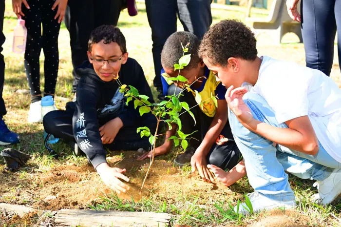 Dia da Árvore: estudantes plantam espécies nativas e ação marca avanço do Plano Municipal de Arborização