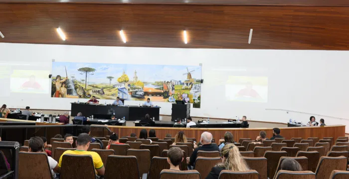 Foto: Reprodução/Câmara Municipal de Castro - PR