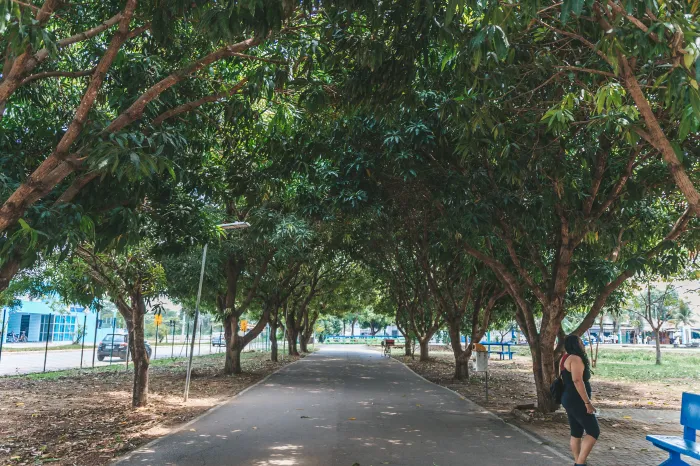 Foto: Reprodução/Prefeitura de Porto Velho - RO
