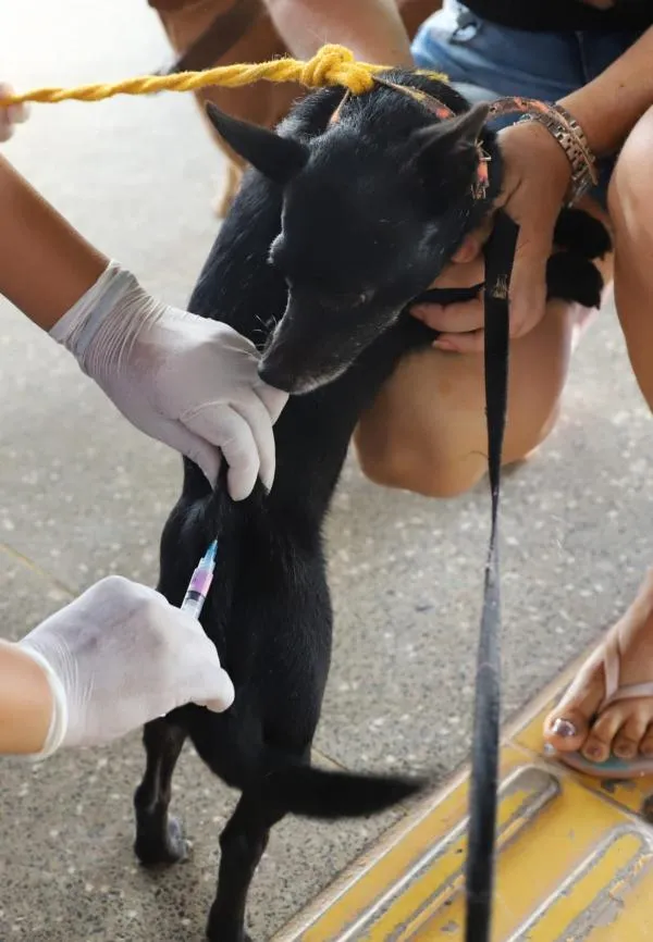 Foto: Reprodução/Prefeitura de Sorriso - MT