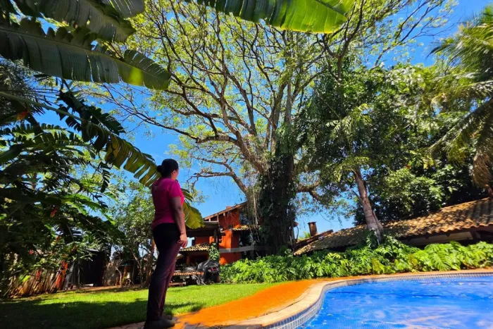 Dia da Árvore: Um gigante que aninhou uma família