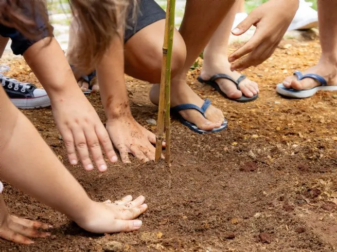 Semam promove plantio de mudas e destaca avanço da arborização no Dia da Árvore em São Sebastião
