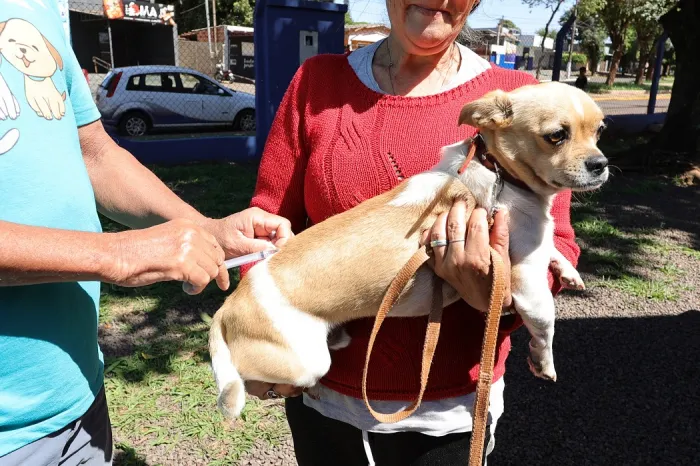 Vários pontos estarão disponíveis para tutores levarem animais para vacinar nesta semana- Foto: A. Frota/ Arquivo