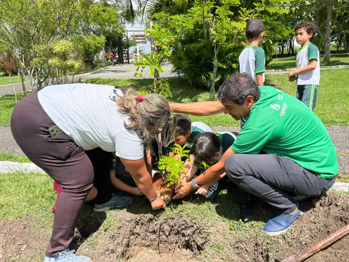 Prefeitura de Caruaru amplia arborização com plantio de mais de 1.000 árvores pela cidade em 2026