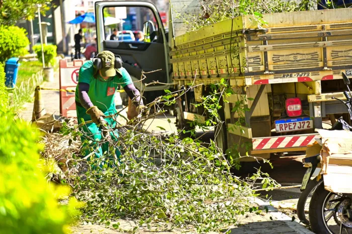 Limpeza e poda marcam início dos preparativos para o Natal na Praça Tancredo Neves