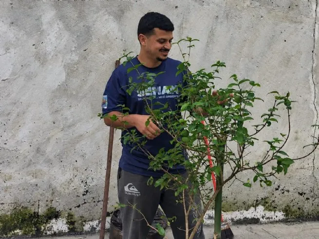 Prefeitura amplia arborização urbana na Vila Amélia com plantio de espécies nativas da Mata Atlântica