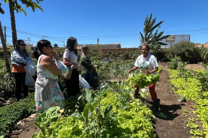 Horta Comunitária do Jardim Valéria gera alimento e renda há mais de 20 anos