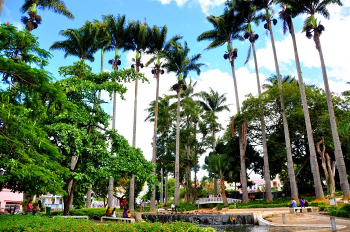Foto: Reprodução/Prefeitura de Vitória da Conquista - BA