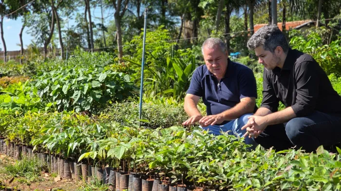 Foto: Reprodução/Prefeitura de Araçatuba - SP