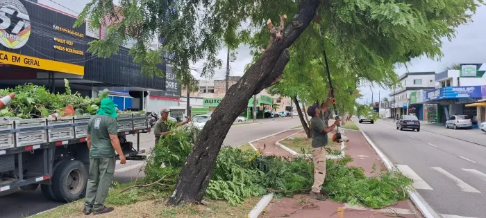 Semam realiza manejo e acompanhamento fitossanitário de árvores plantadas na Avenida Beira Rio