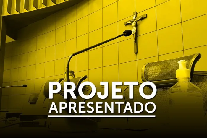 A matéria tem o objetivo de instituir política estadual que auxilia o desenvolvimento de pessoas com deficiência em MS