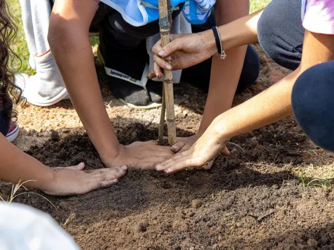Prefeitura amplia arborização urbana com plantio de mudas durante etapa da WSL 2026 em Maresias