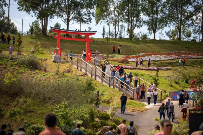 44ª Festa de Flores e Morangos chega ao seu último final de semana com diversas atrações