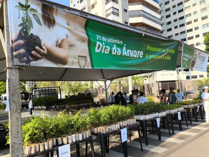 Prefeitura distribui 10 mil mudas frutíferas neste sábado