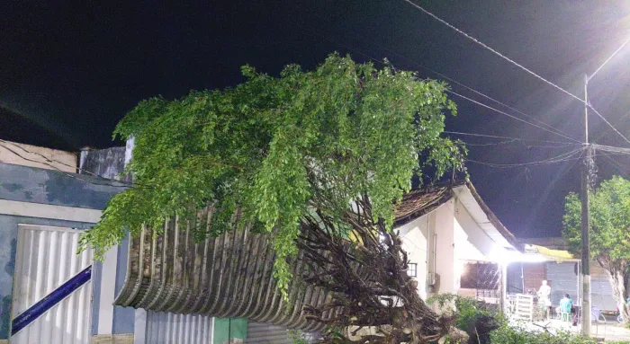 Foto: Reprodução/Prefeitura de Marabá - PA