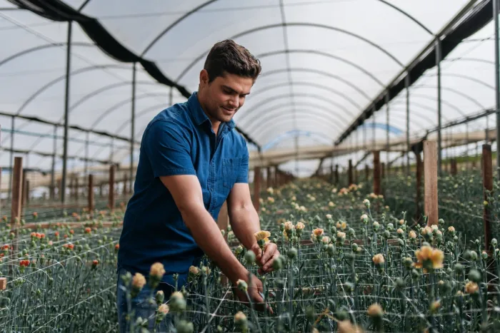 Primavera destaca diversidade no mercado de flores
