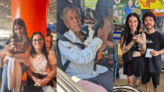 Saúde Animal em Ação realiza mais de 160 atendimentos no último sábado