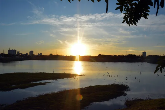 Foto: Reprodução/Prefeitura de Feira de Santana - BA