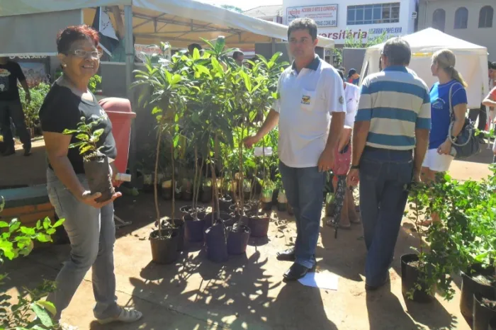 Câmara de Dourados entrega prêmios Coração Verde e Destaque em Saúde Mental nesta terça