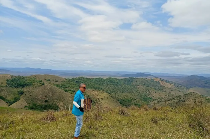 Cetas de Vitória da Conquista realiza soltura de 148 aves silvestres após reabilitação