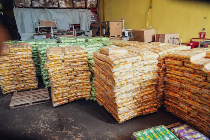 Prefeitura orienta população sobre como solicitar fraldas descartáveis em Porto Velho