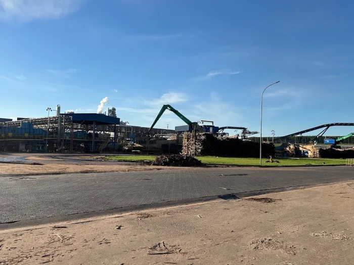 Expansão florestal amplia potencial econômico de Campo Grande