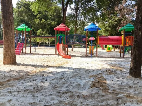 Foto: Reprodução/Prefeitura de Sorriso - MT