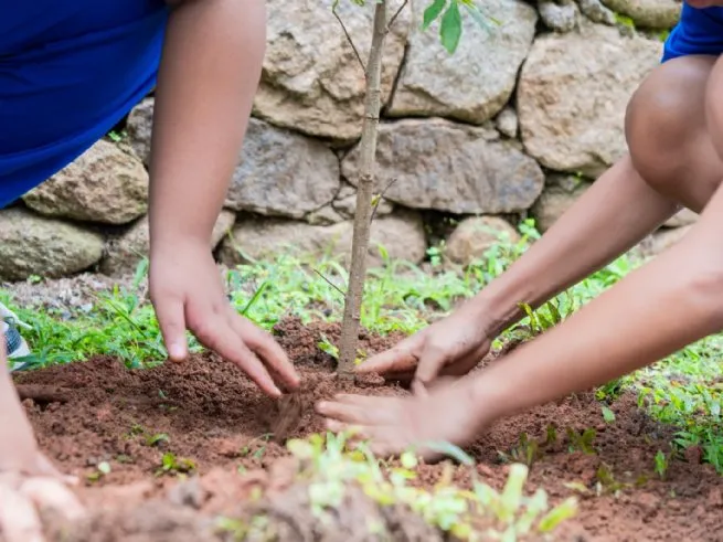 Semam amplia arborização com 40 mudas plantadas e participação de mais de 50 crianças durante a WSL