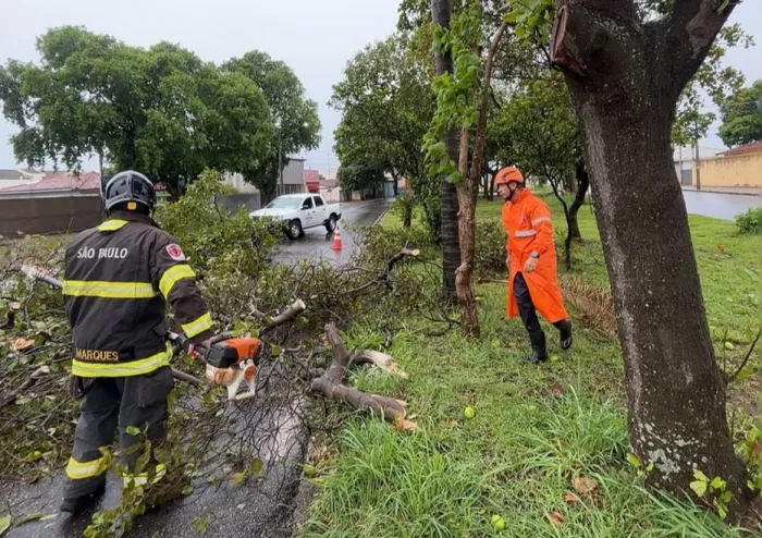 Foto: Reprodução/Prefeitura de Araçatuba - SP