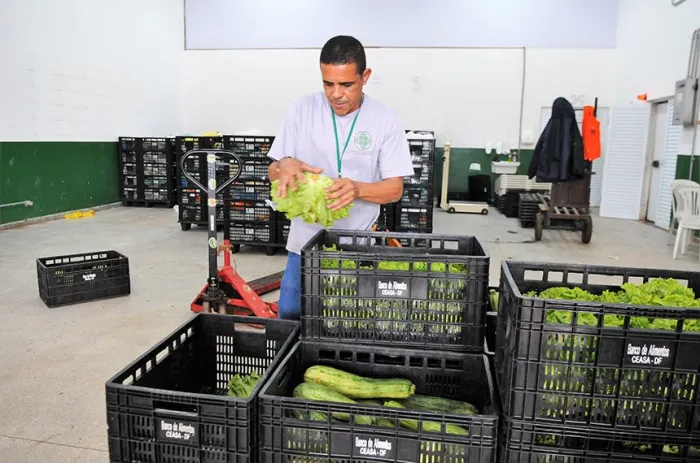 O projeto prevê a distribuição de alimentos que estejam dentro das normas sanitárias e próprios para consumo - Foto: Paulo H. Carvalho/Agência Brasília