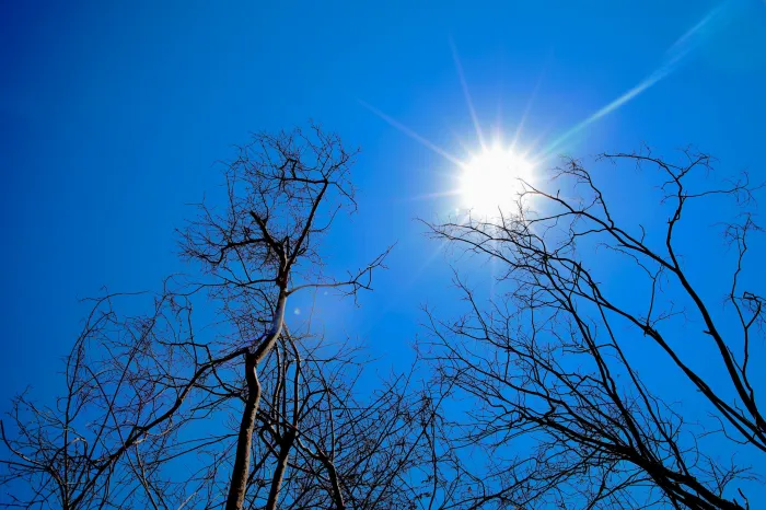 Bahia pode registrar temperaturas acima de 41°C e umidade em níveis críticos nos próximos dias