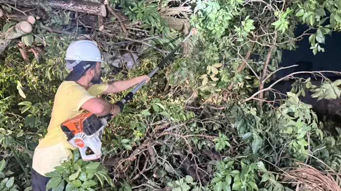Equipes removem árvores caídas após temporal e reforçam cuidados durante mudanças climáticas