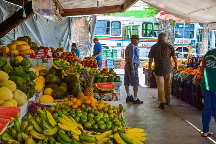 Sedurb divulga funcionamento dos shoppings populares e mercados públicos nesta segunda-feira