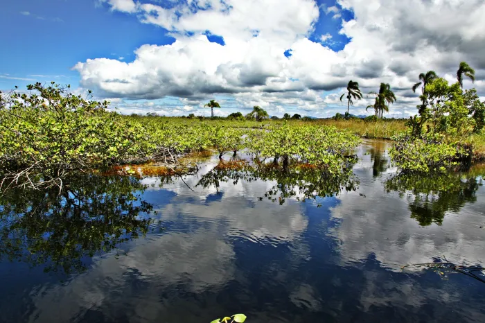 Foto: Denis Ferreira Netto/SEDEST