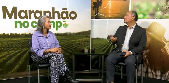 ‘Maranhão no Campo’ destaca pesquisas que ampliam potencial econômico do babaçu