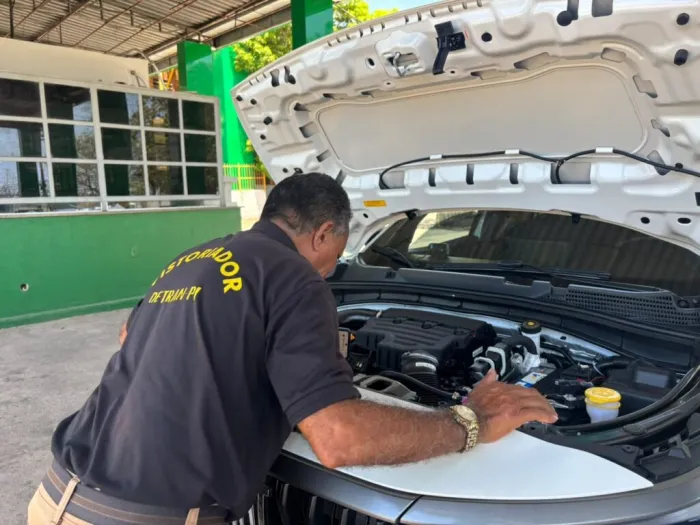 Foto: Reprodução/Secom Piauí