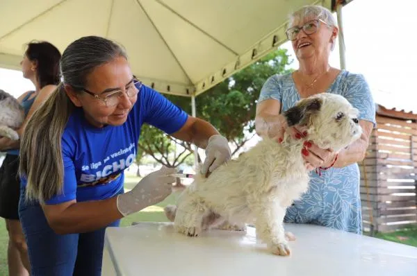 Foto: Reprodução/Prefeitura de Sorriso - MT