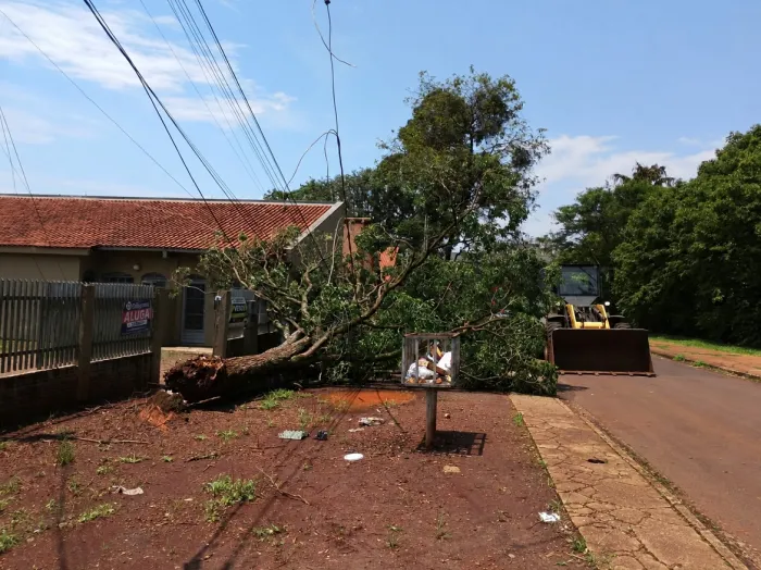 Prefeitura de Dourados remove árvores após chuva intensa e ventos de até 80 km/h