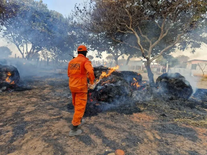 Foto: Reprodução/Secom Piauí