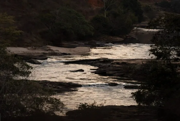 IEF atua na recuperação da biodiversidade aquática do Rio Doce, prejudicada pelo rompimento da barragem de Fundão, em Mariana/Crédito: IEF / Divulgação