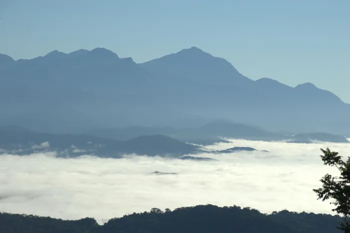 Com 382 inscrições, edição 2026 do Selo Clima Paraná bate recorde de participantes