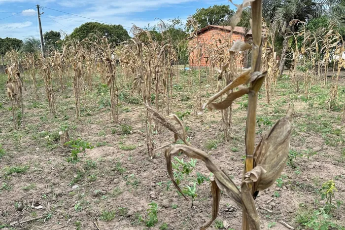 Prefeitura reafirma regularidade do Seguro-Safra e amplia assistência às comunidades rurais