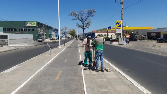 Prefeitura de Petrolina planta novas árvores na Avenida da Integração e reforça cuidado com o meio ambiente